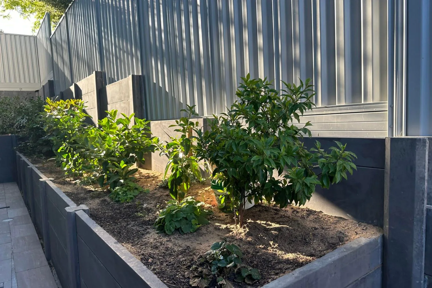 Concrete retaining wall project in Geelong